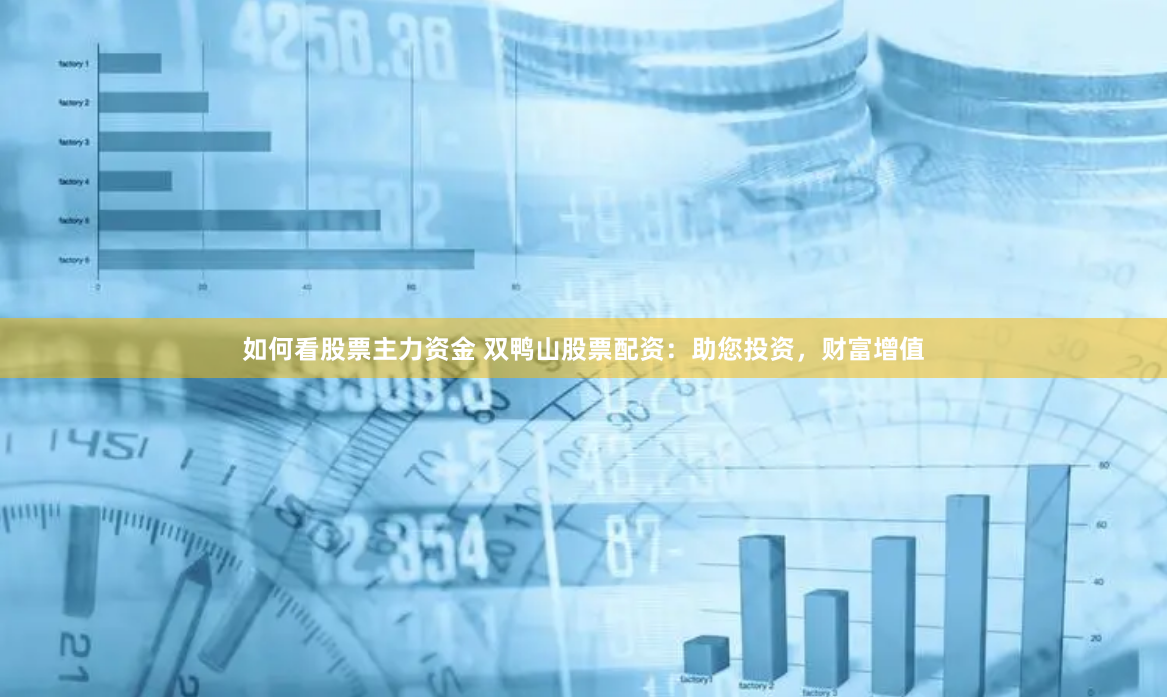 如何看股票主力资金 双鸭山股票配资：助您投资，财富增值