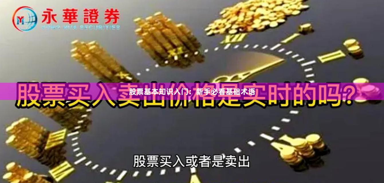 股票基本知识入门：新手必看基础术语