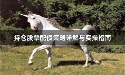 持仓股票配债策略详解与实操指南